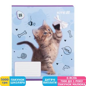 Фото №4 - Тетрадь школьная Kite Rachael Hale, 18 листов, клетка (R25-236)