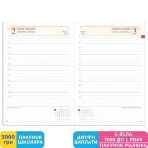Фото №2 - Щоденник Leo Planner 2024 Case, графіт (252425)