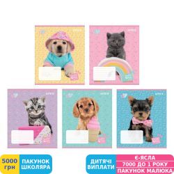 Фото - Тетрадь школьная Kite Studio Pets, 12 листов, клетка (SP22-232)