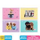 Фото - Зошит для малювання Kite Studio Pets, 24 аркуші (SP25-242)