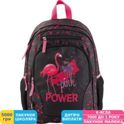 Фото - Рюкзак GoPack 132 (GO19-132M-2)
