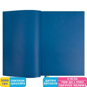 Фото №7 - Щоденник Leo Planner 2024 Nation Code, синій (252492)