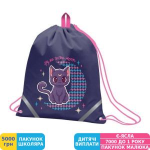 Фото №1 - Сумка для обуви Yes SB-10 Fantastic Kitty (559672)