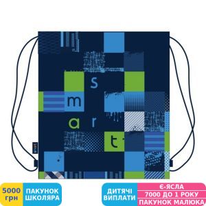 Фото №1 - Сумка для обуви Smart SB-01 Smart Style (557721)