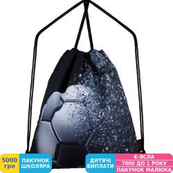 Фото - Сумка для взуття для змінного взуття Winner One для хлопчиків (M-48)