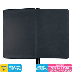 Фото №4 - Щоденник Leo Planner 2024 Case, графіт (252425)