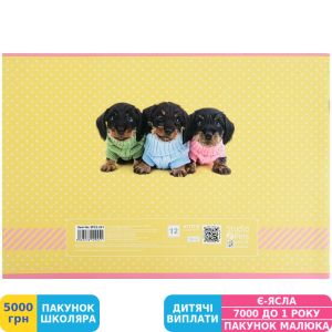Фото №4 - Зошит для малювання Kite Studio Pets, 12 аркушів (SP22-241)