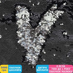 Фото №2 - Сумка для обуви Yes DB-17 Black Sequins, двухсторонняя пайетка (557659)