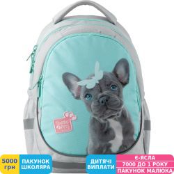 Фото - Рюкзак школьный полукаркасный ортопедический Kite Education 700 Studio Pets, для девочек (SP19-700M)