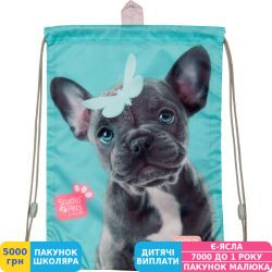 Фото - Сумка для обуви Kite Education Studio Pets (SP19-600S)