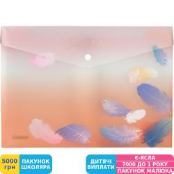 Фото - Папка на кнопці Axent Colourful Feather 1432-94-A, А4+