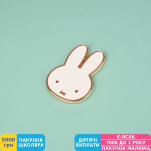 Фото №8 - Дневник школьный Yes Miffy (911392)