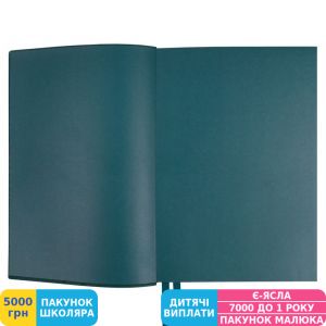 Фото №2 - Ежедневник Leo Planner 2024 Riviera, градиент (252482)