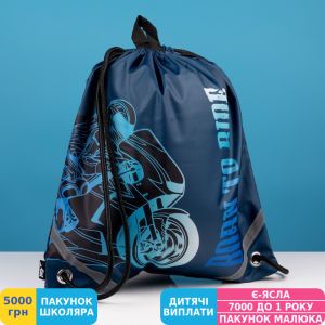 Фото №3 - Сумка для обуви Yes SB-10 Born to Ride (533468)