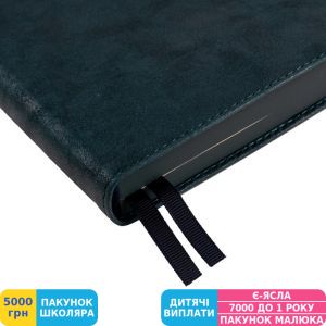 Фото №8 - Щоденник Leo Planner 2024 Case, графіт (252425)