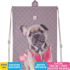Фото №1 - Сумка для взуття Kite Education Studio Pets (SP20-600M)